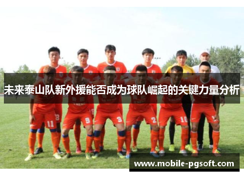 未来泰山队新外援能否成为球队崛起的关键力量分析