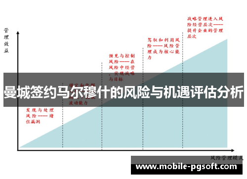 曼城签约马尔穆什的风险与机遇评估分析