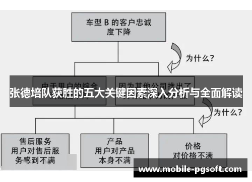 张德培队获胜的五大关键因素深入分析与全面解读
