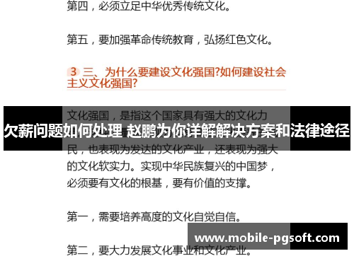 欠薪问题如何处理 赵鹏为你详解解决方案和法律途径