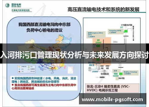 入河排污口管理现状分析与未来发展方向探讨