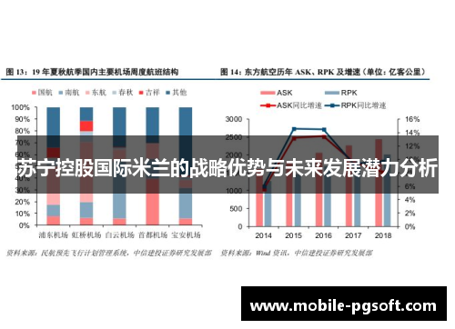 苏宁控股国际米兰的战略优势与未来发展潜力分析