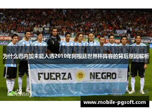 为什么巴内加未能入选2010年阿根廷世界杯阵容的背后原因解析