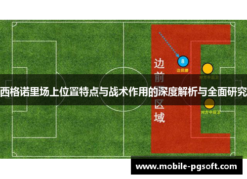 西格诺里场上位置特点与战术作用的深度解析与全面研究