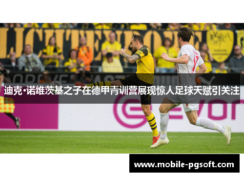 迪克·诺维茨基之子在德甲青训营展现惊人足球天赋引关注 迪克·诺维茨基之子在德甲青训营展现惊人足球天赋引关注