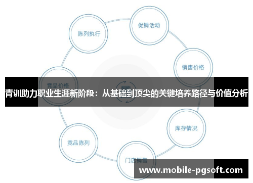 青训助力职业生涯新阶段：从基础到顶尖的关键培养路径与价值分析