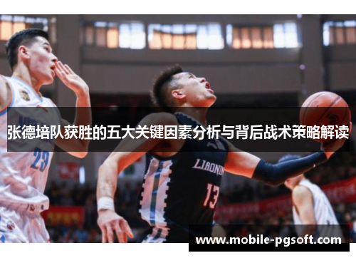 张德培队获胜的五大关键因素分析与背后战术策略解读