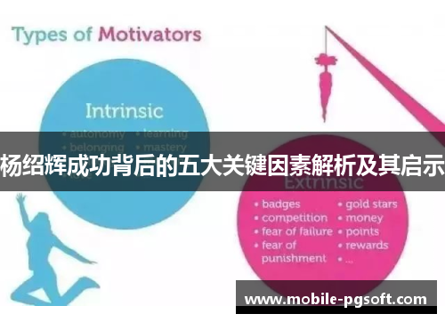 杨绍辉成功背后的五大关键因素解析及其启示 杨绍辉成功背后的五大关键因素解析及其启示