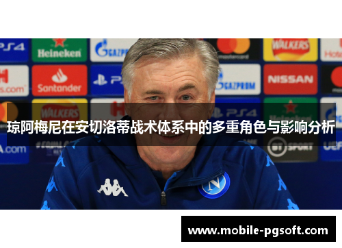 琼阿梅尼在安切洛蒂战术体系中的多重角色与影响分析