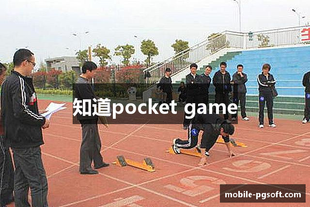 知道pocket game